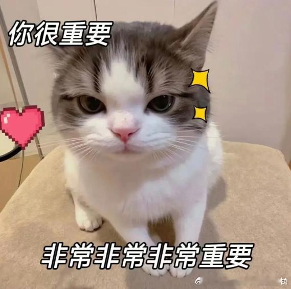 肖战律师称买卖明星身份证号非常离谱律师回应肖战隐私遭恶意泄露肖战工作室起
