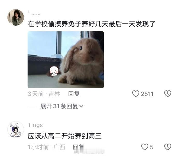 冷知识：高三倒计时越往后班里的违禁品就越多哈哈哈