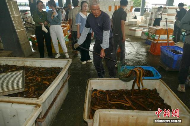 (活力中国)中国县域经济的湖北样板: 特色集群激活产业动能