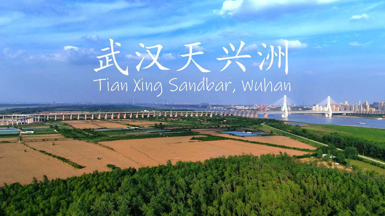 武汉天兴洲非但没飘走，反而被封了！这波操作让不少网友直呼意外。其实这是汛期叠加台