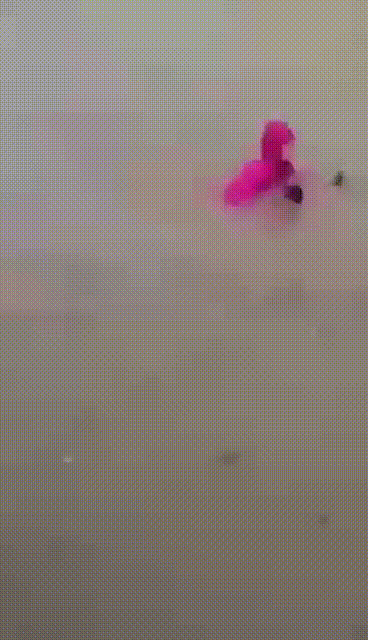 大哥你是在……骑电动车？