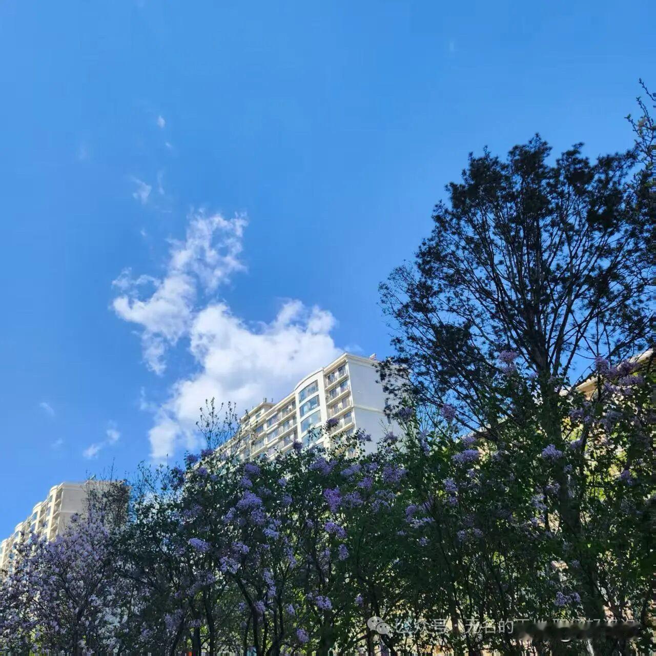 北京房子的物业给我发来缴费单，要交今年的物业费，我把单子和付款码发给前夫，他很快