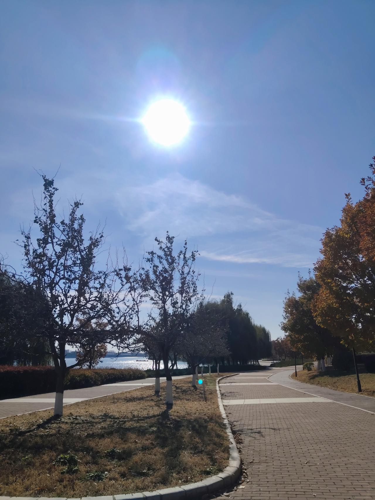 张雪峰老师说:“来吧!校长!上个热搜好不好?”,新生色弱被退学,高校太冷酷!