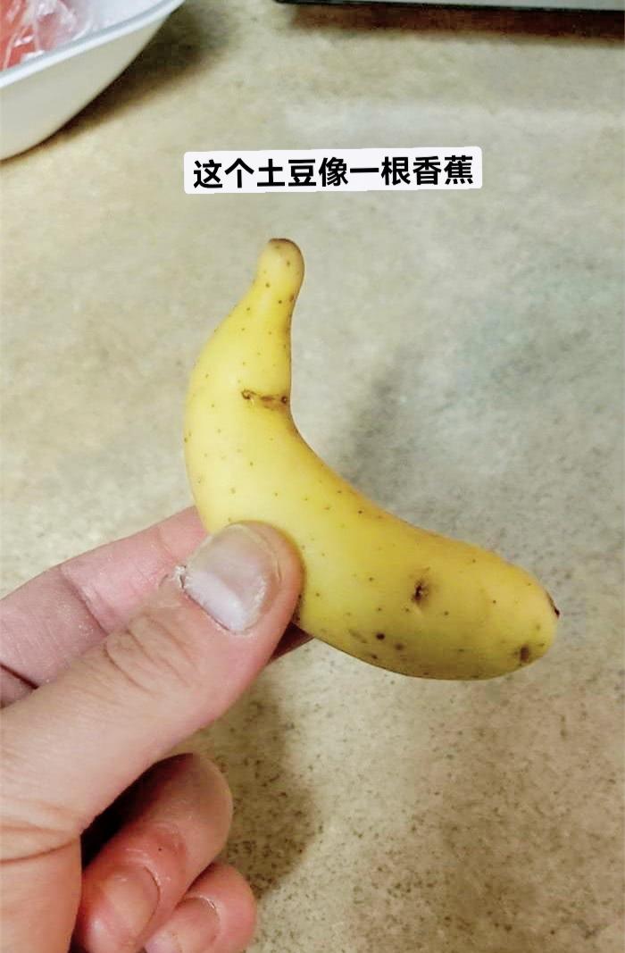 这个土豆像一根香蕉