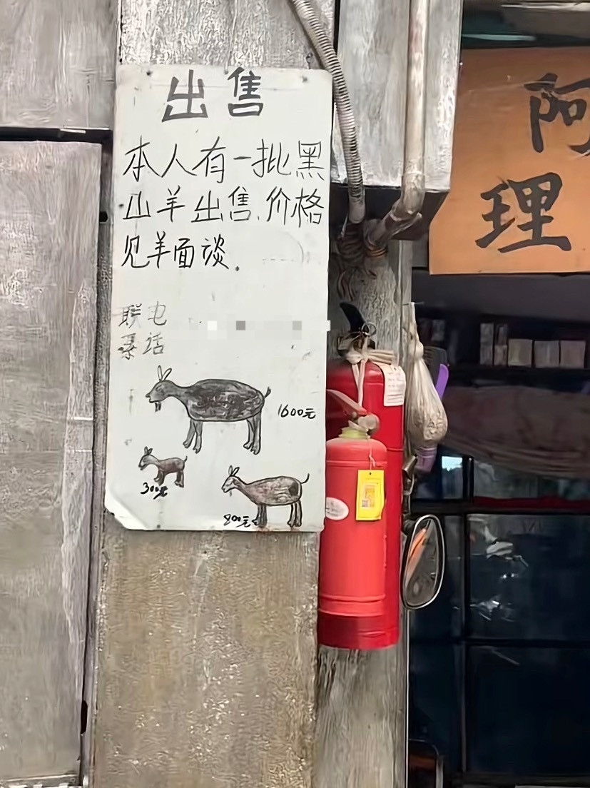 松弛感十足的一场交易[doge]​​​