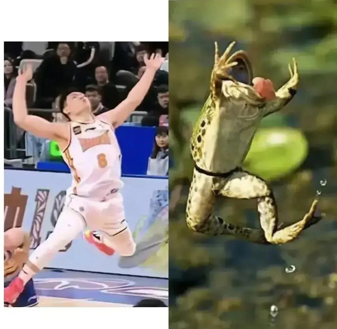 徐杰保持沉默，张宁明显不服！徐杰落选，球迷媒体一边倒的抱打不平，徐杰本人则保