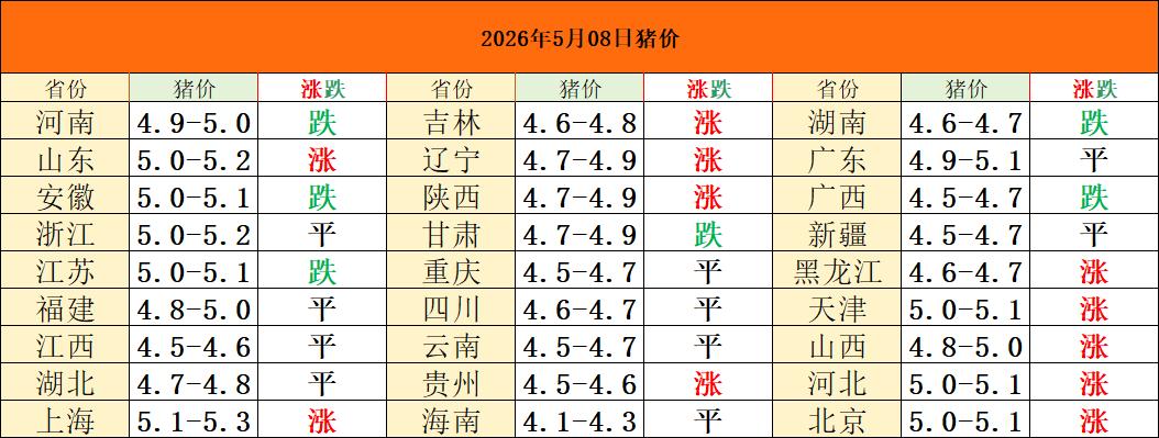 2026年5月8日猪价！震荡加大？还是涨回成本线？假期结束以后，6-7号的猪价