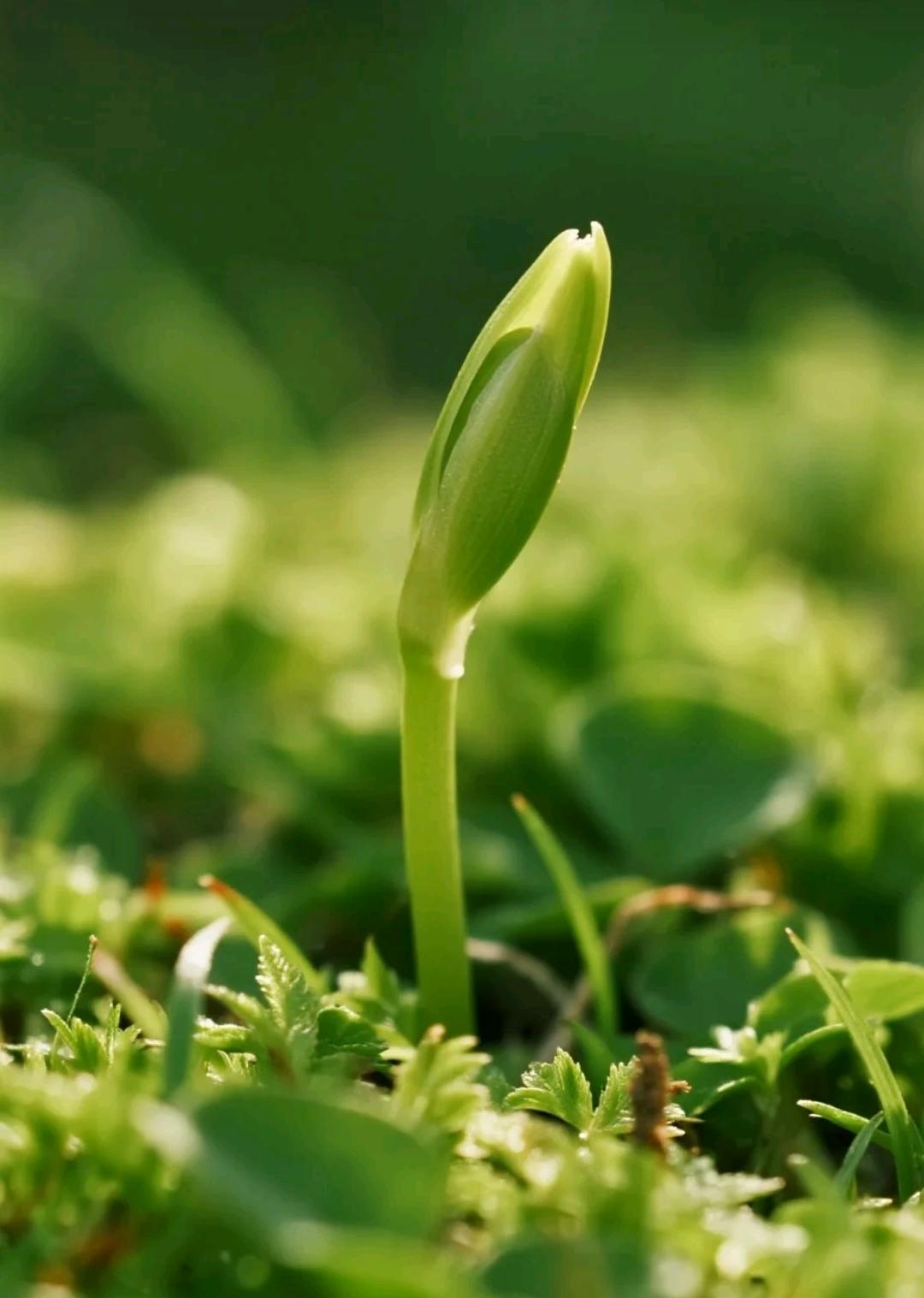 为人父母，永远不要焦虑你的孩子，她有她要走的路，你永远代替不了，如果你家