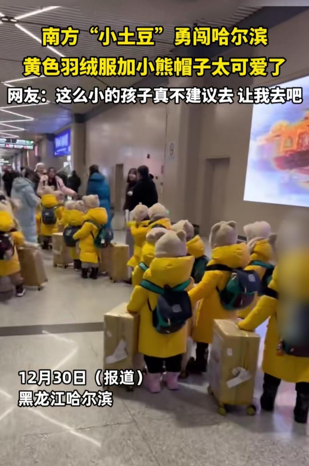 刷到哈尔滨机场的这一幕，心都要被萌化了！一群穿着黄色羽绒服、戴着小熊帽子的南方小