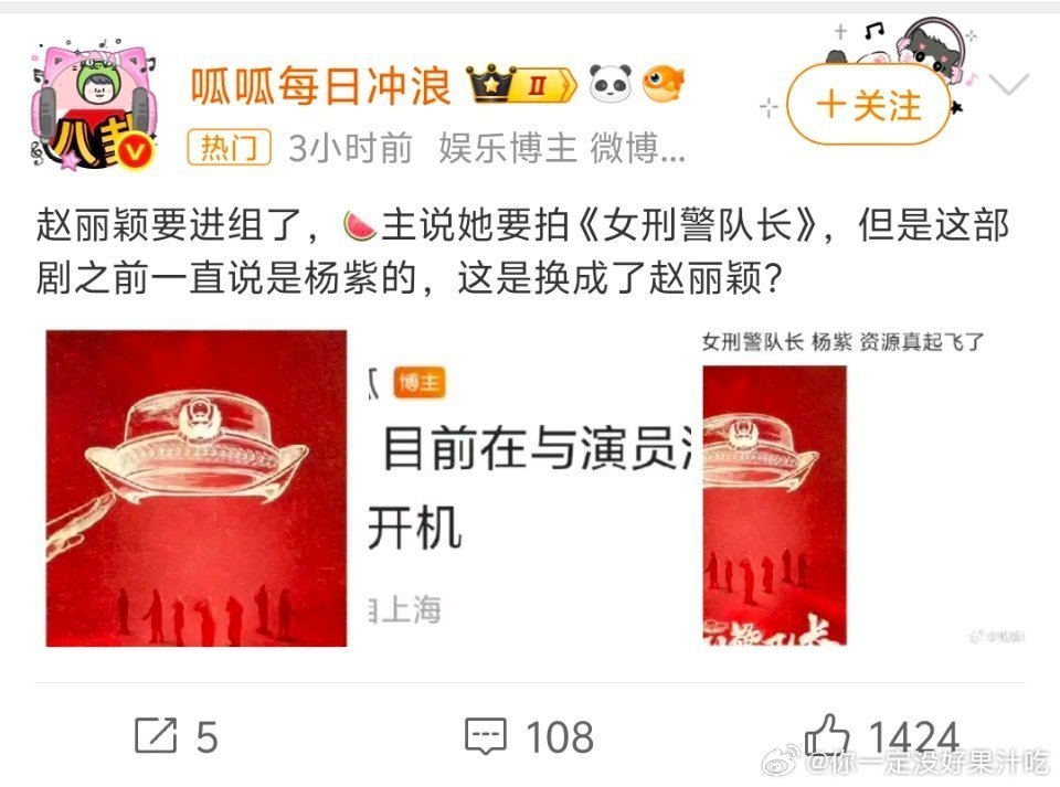 赵丽颖女刑警队长适合才重要吧
