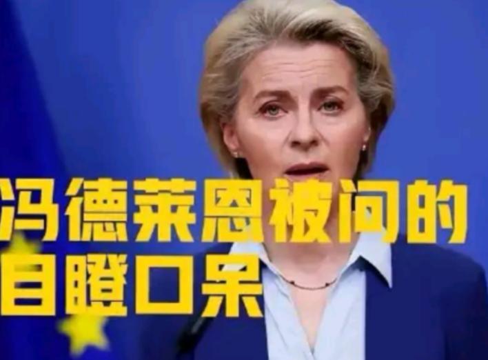12月欧盟会议，冯德莱恩宣布“永久停购俄油气”，芬兰代表突然问，若特朗普对委内拉