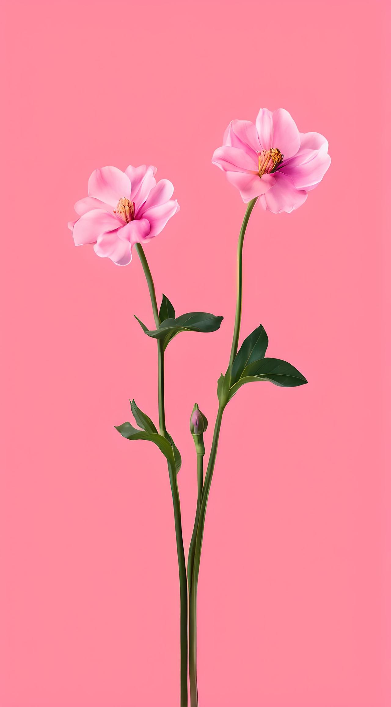 别傻了！这些撩法，全是男人的套路！有些男人的撩拨，听起来深情款款，做起来温