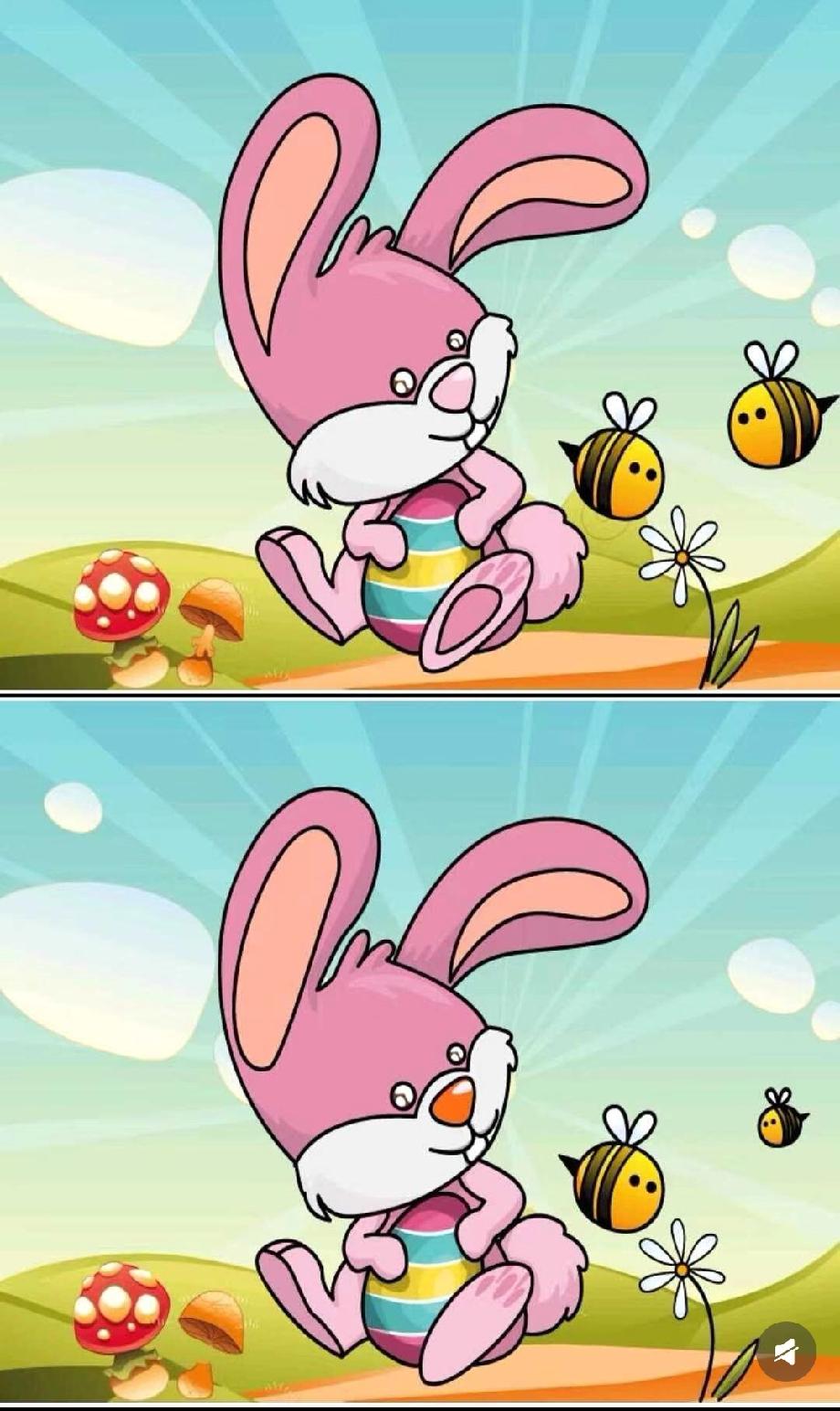 粉兔子的小变化也太隐蔽了！谁能一眼看出这图的差异？