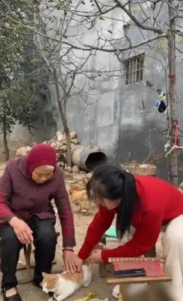 “庆阳网红春春”本名姜迎春，甘肃庆阳人。沪漂多年，带娃三连击后杀回老家，2021