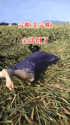 至于吗？[哭哭]