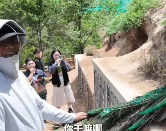 “为什么不能抓？”6月19日，青海西宁某个公园里发生的这一幕令人无语。一名网