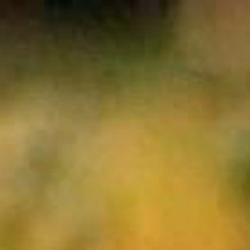 正能量正能量心宽的人，不是没情绪，是知道什么时候该收，什么时候该放。别