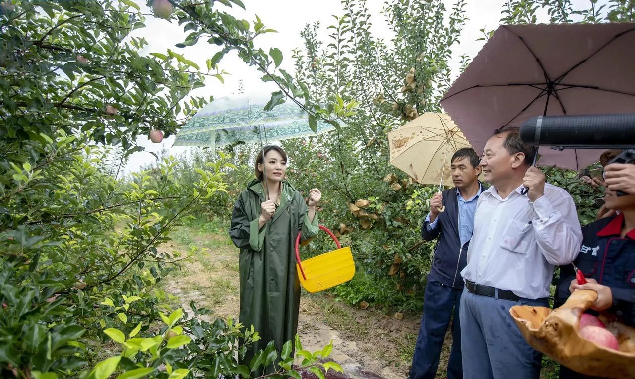 著名主持人董卿回归质朴的生活，重拾生命最初的简单与真实。回农村果园冒雨摘苹果，数