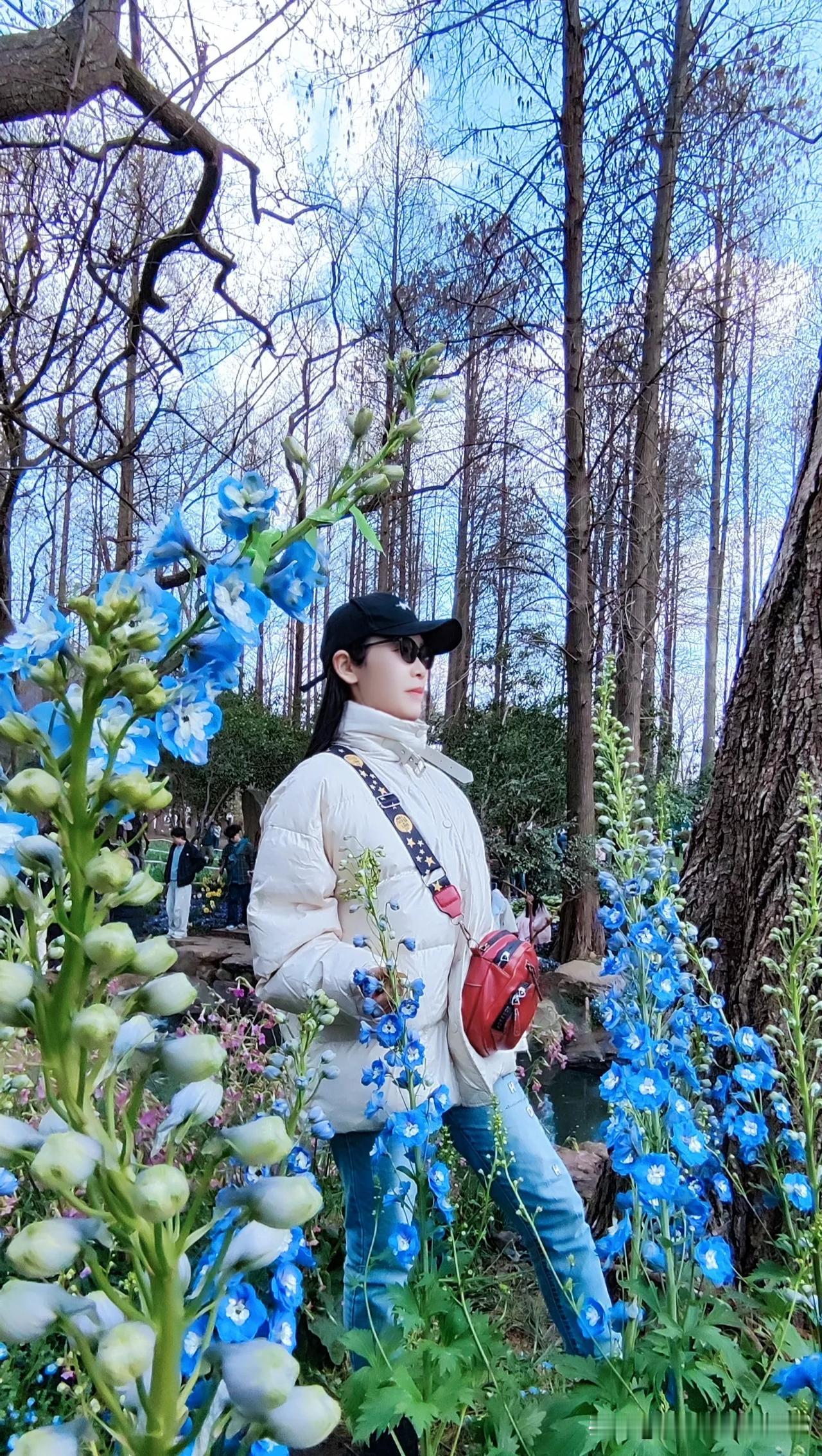 美丽的南京城，不知不觉在这里已经工作生活了30个年头。一直低调的南京城，吸引