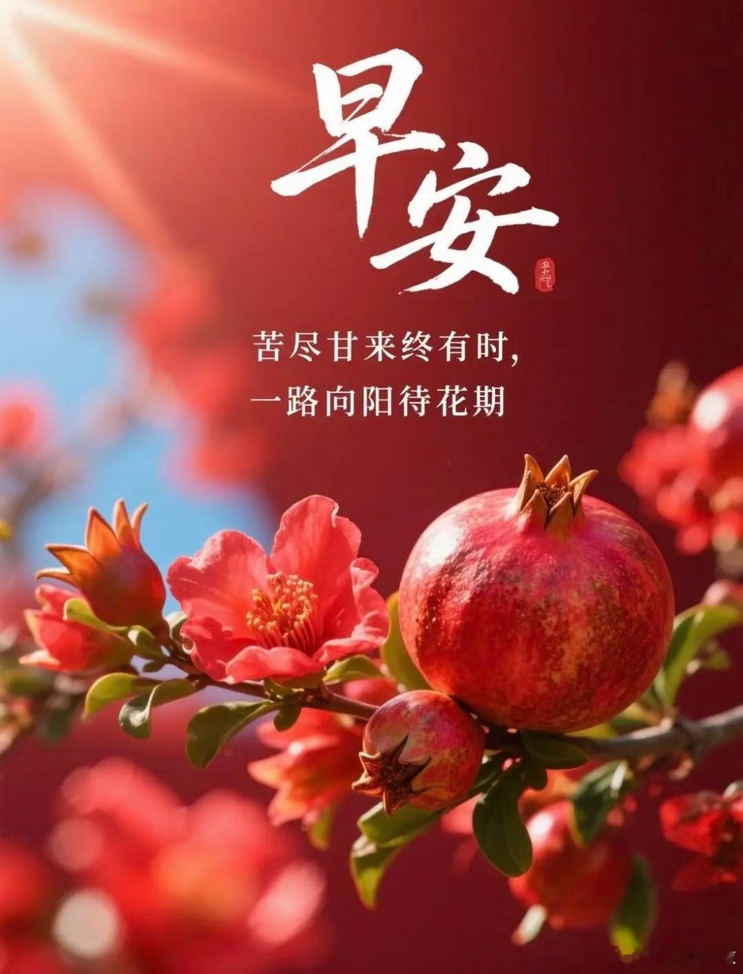 新的一天，晨露折射阳光，微小却闪耀早安，做自己世界里的光☀周三愉快，早安！