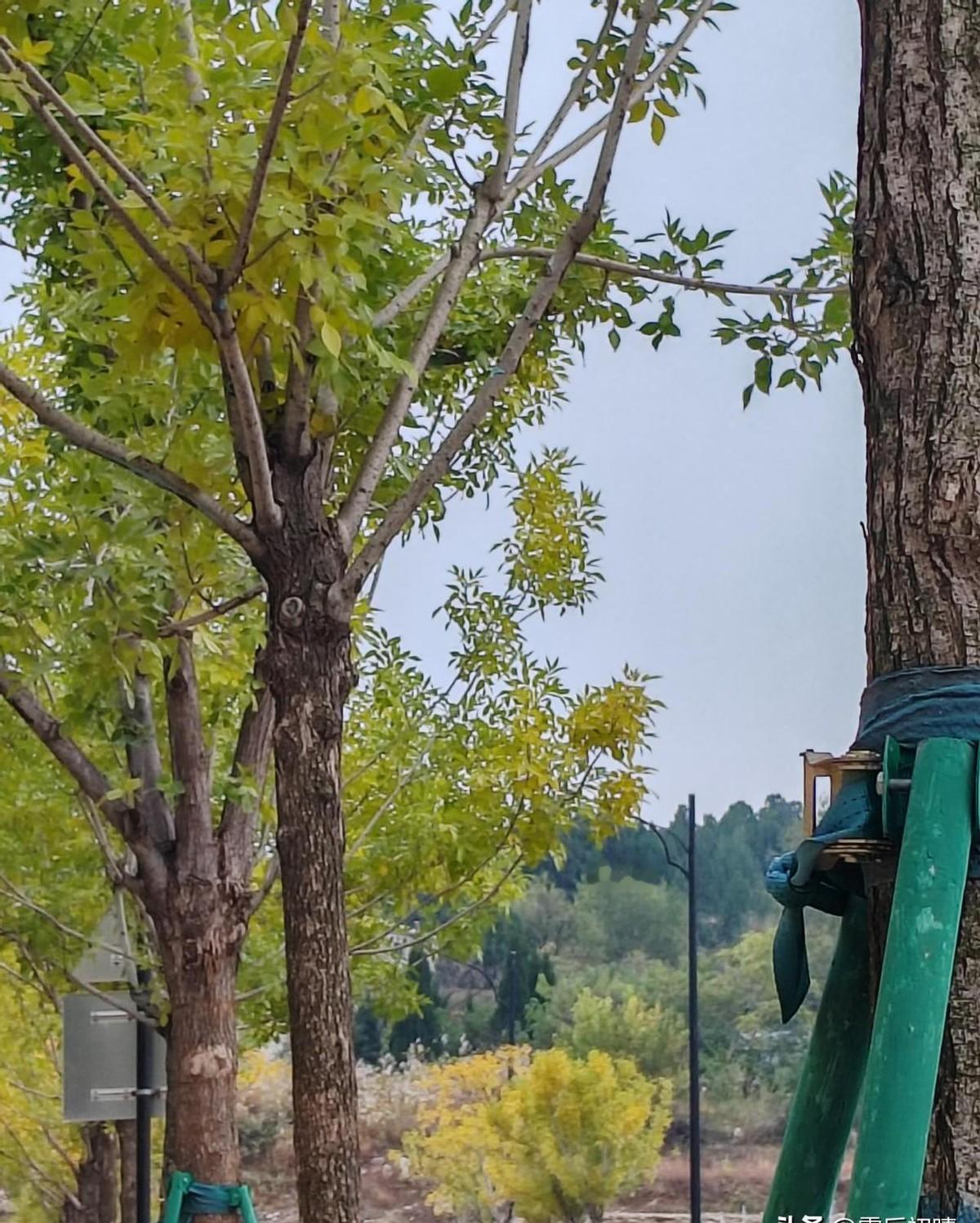 我老公一个军校同学的操作，真是让我开了眼。他一个土生土长的青岛人，今年转业竟然