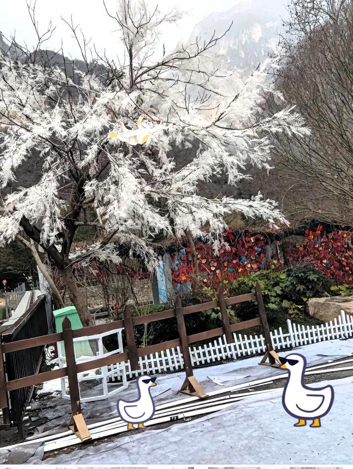 三八妇女节，去云台山旅游快乐的一天！家人们，3月8号这天我在焦作修武县玩，一