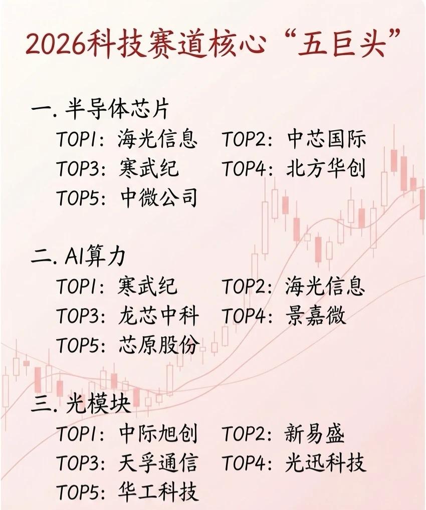 2026科技赛道核心“五巨头”全景梳理一、半导体芯片核心标的：海光信息、