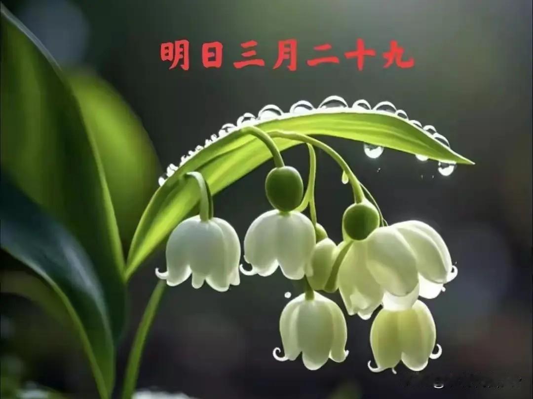 明日三月廿九“成日”，记得1不动、2不穿、3不成、4要吃、5要做明天是农历