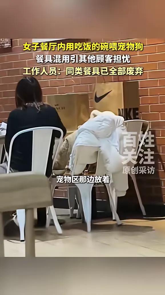 “顾客天塌了！”12月14日，北京，一女子吃饭时，发现邻桌的客人正用盘子给狗喂食