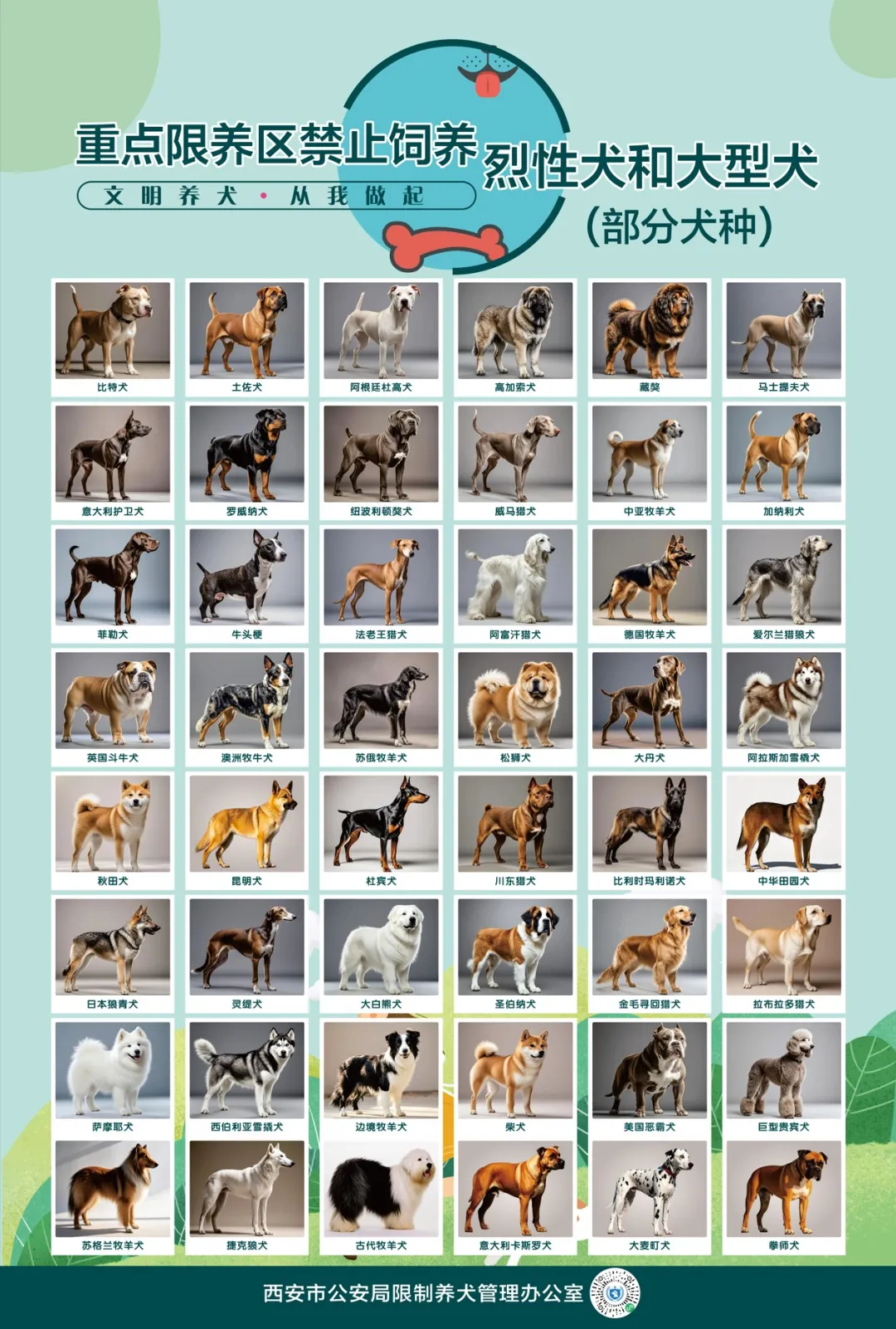 “中华田园犬禁养”冲上热搜, 西安警方: 如无禁养犬血统, 中华田园犬可办狗证