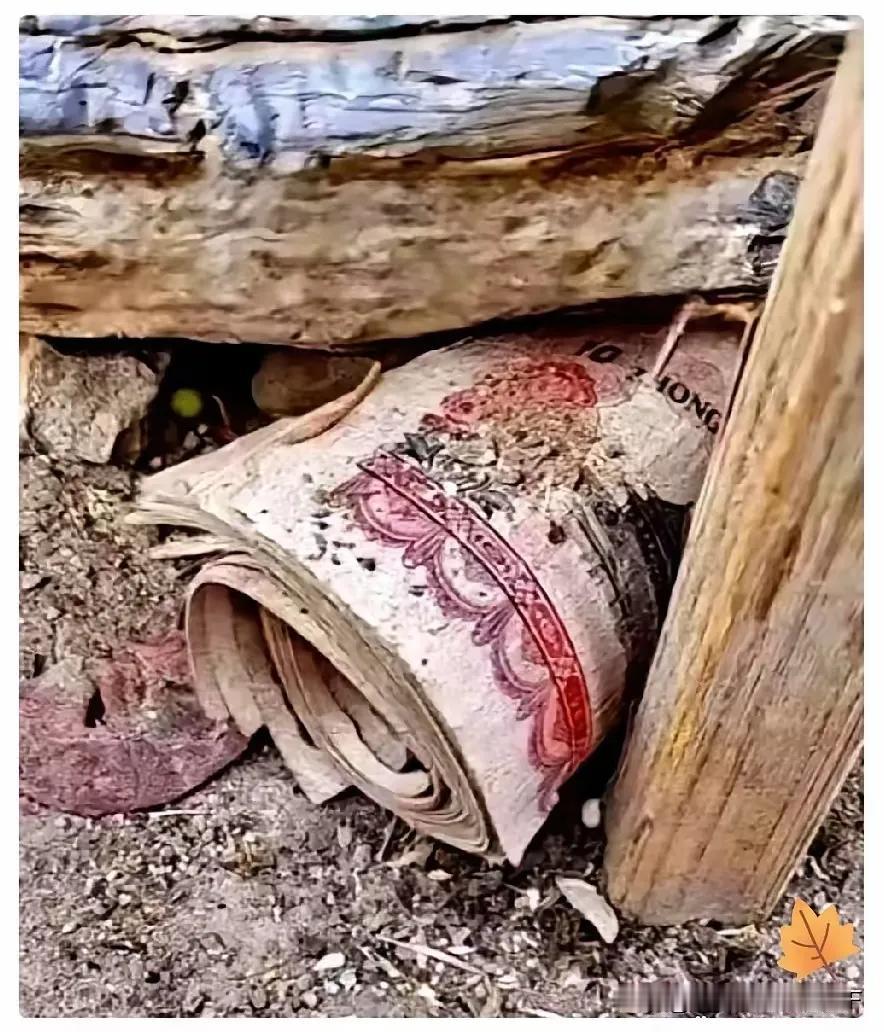 遵义这一幕，看得人心里发酸，越想越心疼。一家人拆祖屋，竟从旧床板缝里，翻出