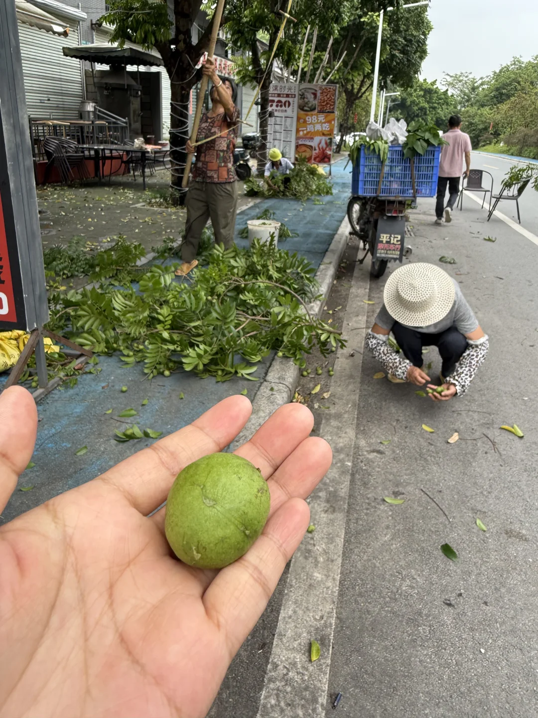 有没有广东的朋友告诉我这是什么水果啊