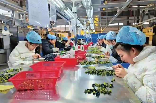 为什么我们的市场会那么卷？其实有一个非常重要的问题，可能被大家都忽略了，那就是我