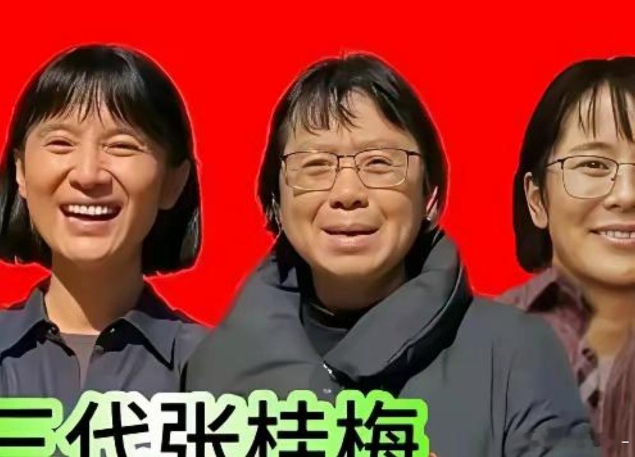 同一个张桂梅，海清演得灰头土脸被群嘲，宋佳却凭着这个角色直接拿奖拿到手软，这差距真不是差在演技上。把