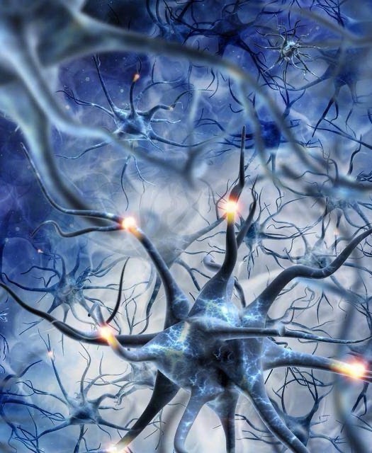 什么是真？什么是真相？无论人生与这个世界如何的虚幻与荒谬，那个更加真实的自己，总