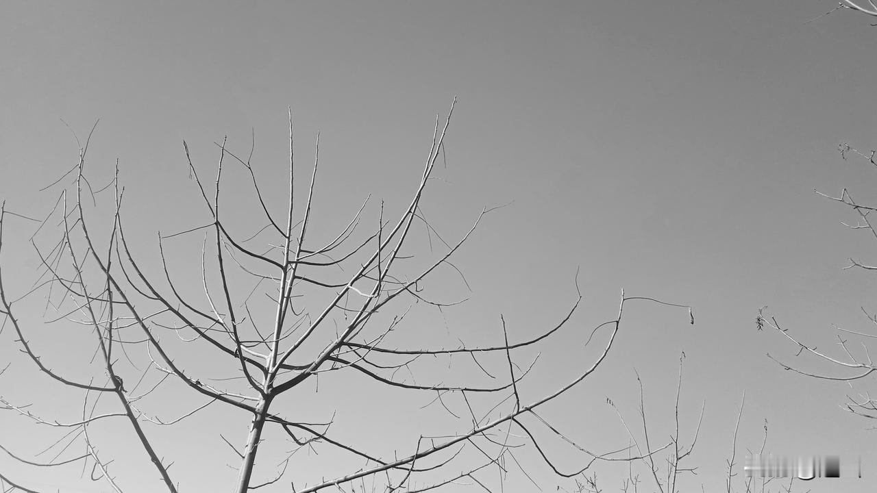 富不过3代，地主后人吃上了低保。小村某君，爷辈是地主，父辈是富农。孙辈是贫农，建