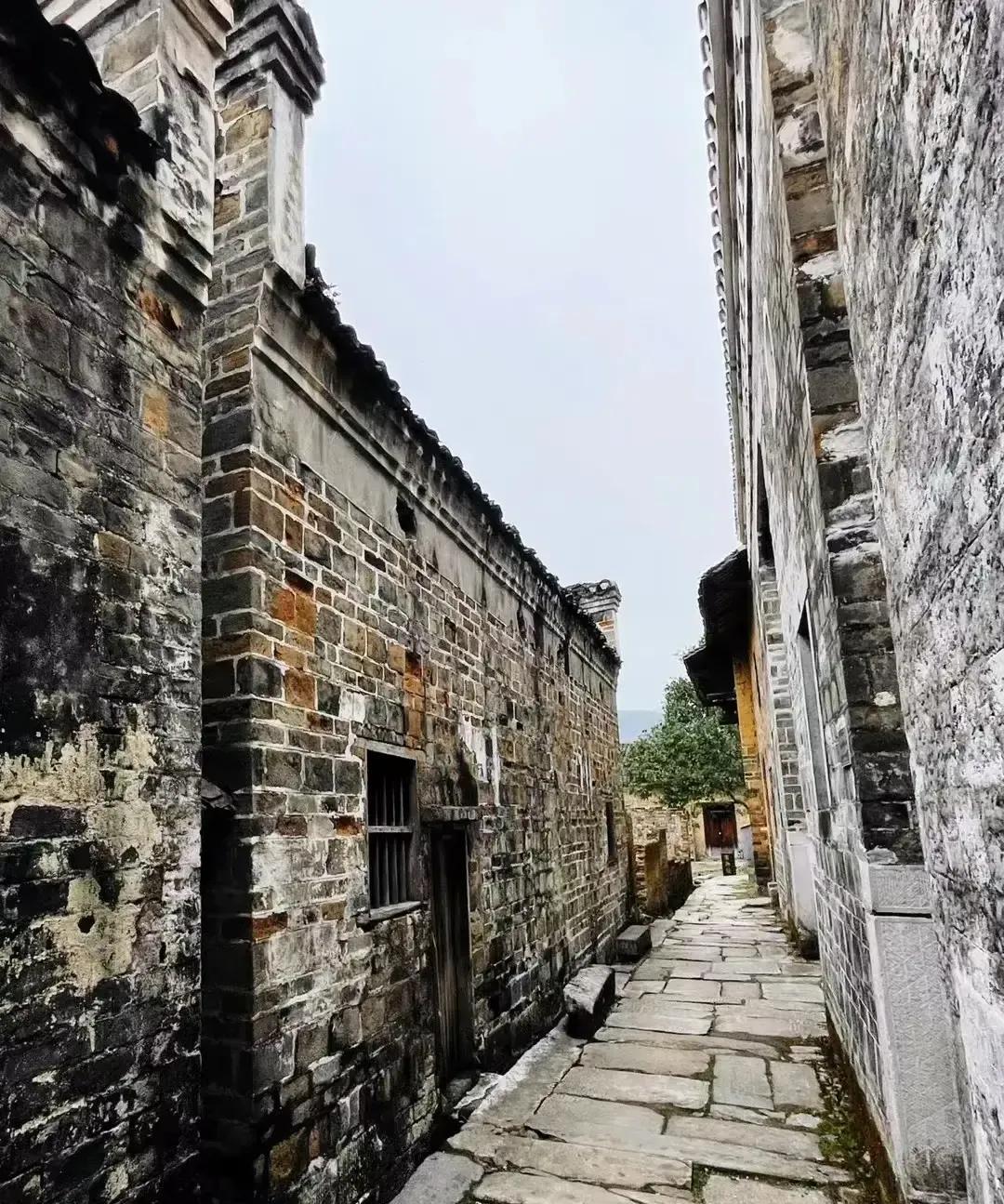 德国于2022年使X工作合法化，自此，X工作在德国成为正当职业之一，并且被纳入社