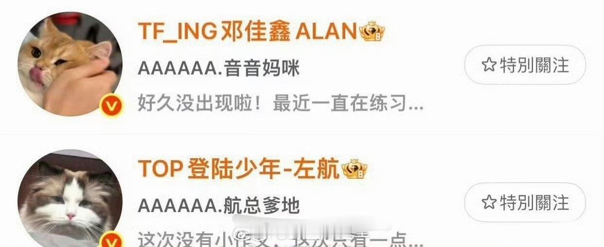 emmm因为左航跟邓佳鑫都用了小猫咪的照片当自己的头像，就有CP粉闻风而来了，就