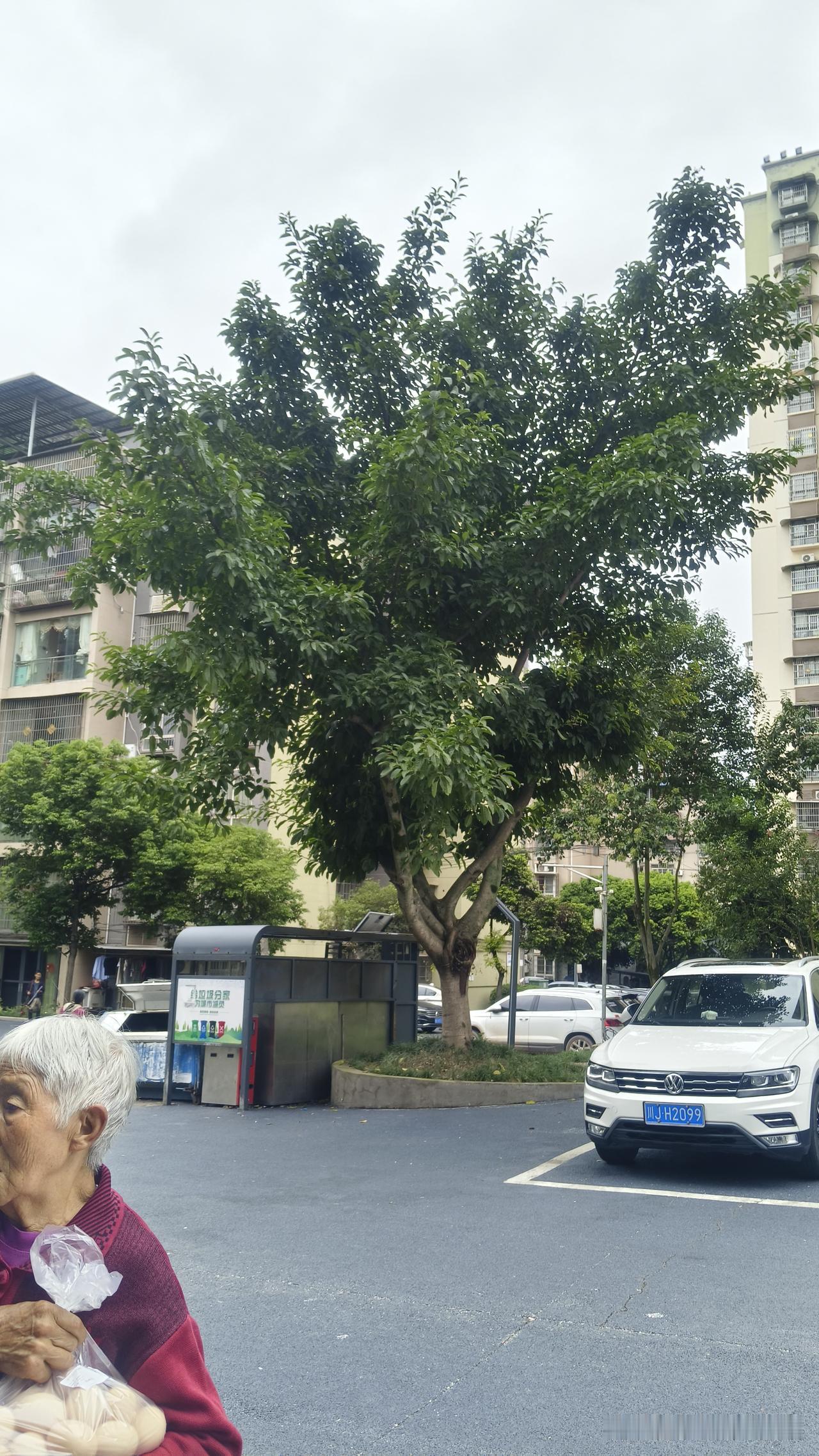 “真的不要太善良”！你们买菜被坑过吗？我就因为心地太善良，经常被路边摊大爷大妈们