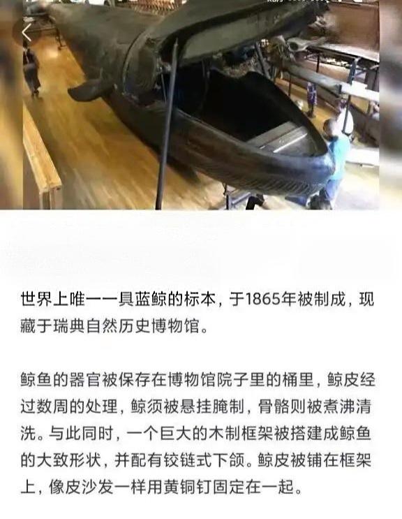 俗话说不是一家人，不进一家门