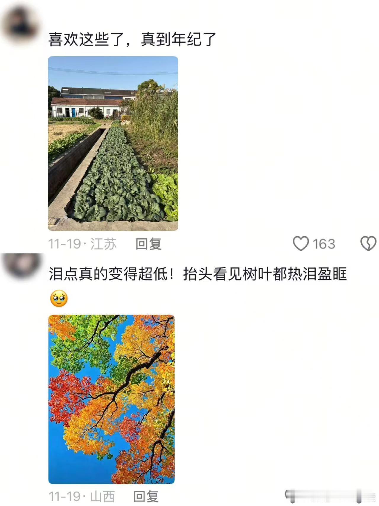 以为吃桃酥封顶了没想到开始听戏了