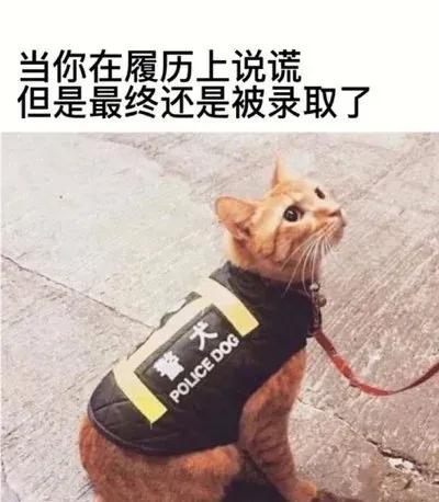 哈哈哈哈，是这样的[捂脸哭]