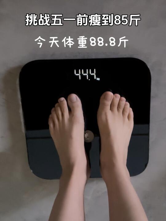 162 88｜瘦到85斤减肥一天吃什么
