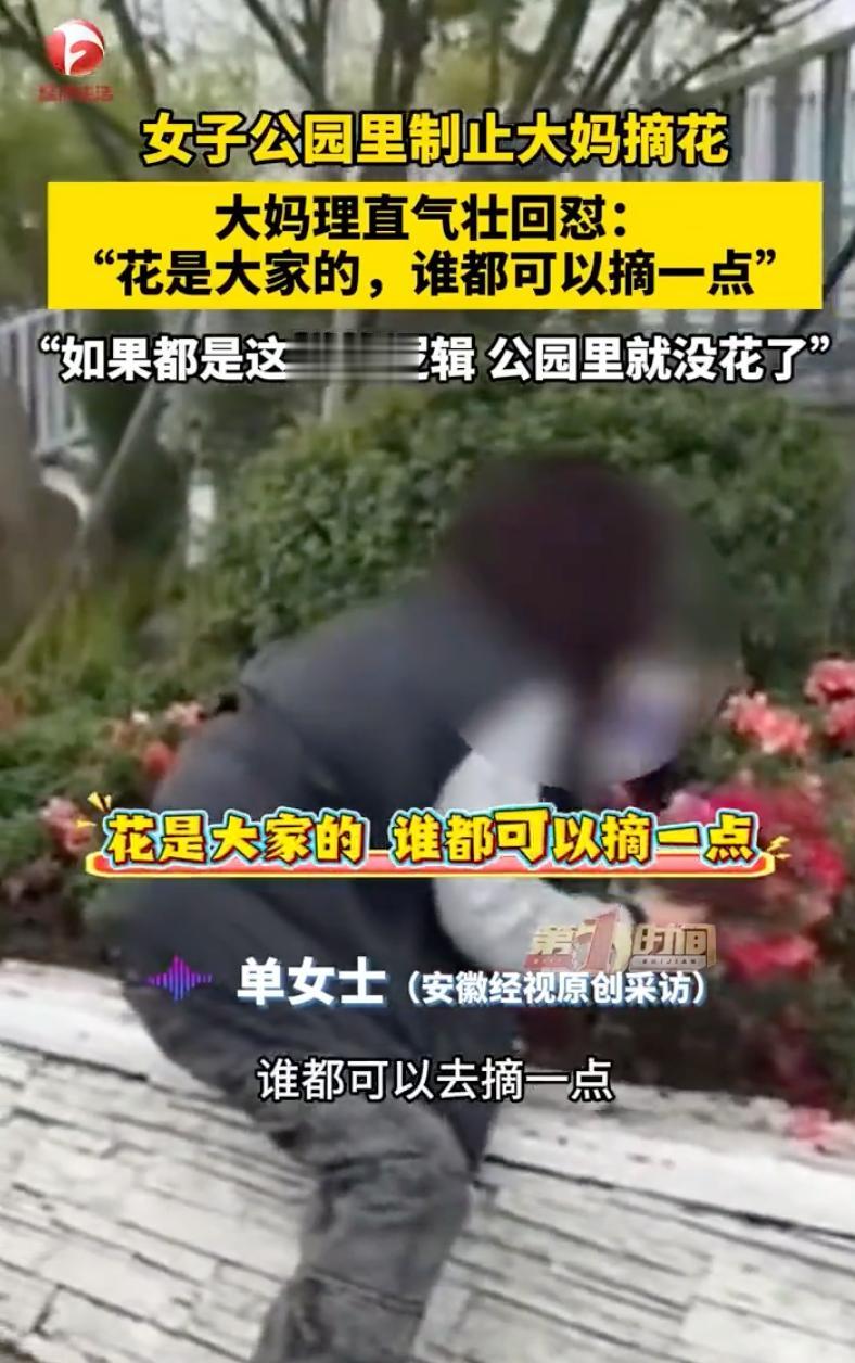 真的太坏了！江苏昆山，一位大妈在公园里疯狂“辣手摧花”，手里已经捧着一大把粉色的