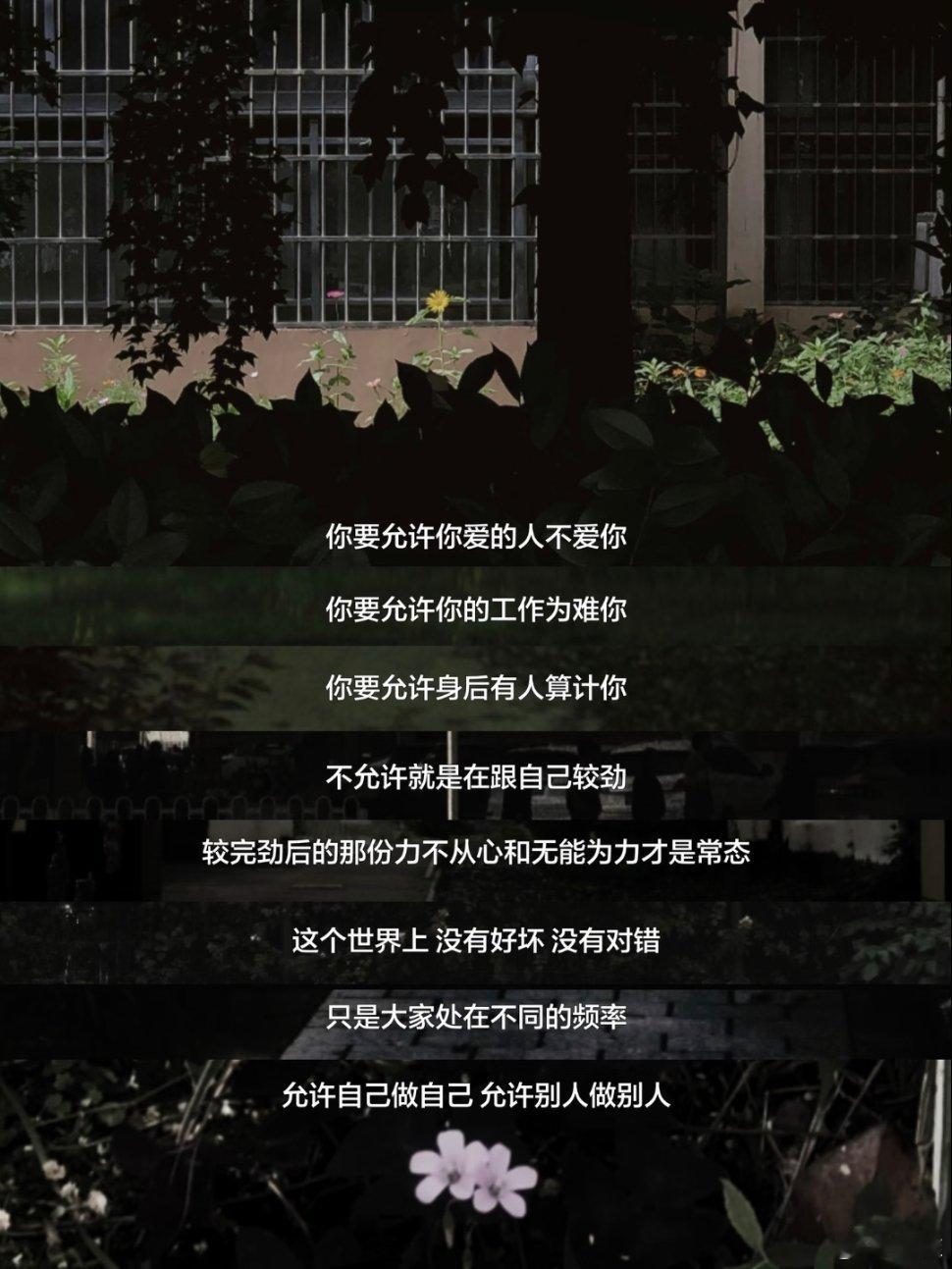 很通透的一段话。