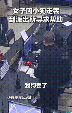 “笑不活了！”重庆一条一百来斤的阿拉斯加犬走失，女主人焦急报警，民警刚打开监控，