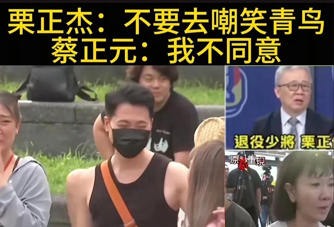大罢免结束，蔡正元和栗正杰观点分歧大！这次大罢免蓝营笑到最后，栗正杰突然同情起
