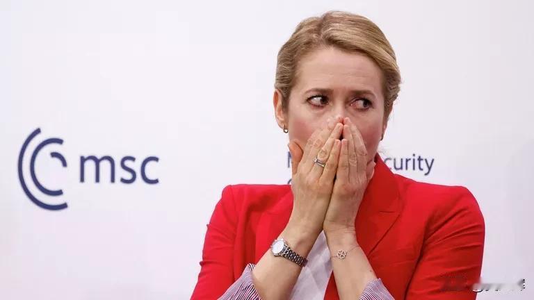 欧盟外交负责人卡拉斯被指“脑子不够用”芬兰政党“自由联盟”成员阿曼多·梅马在