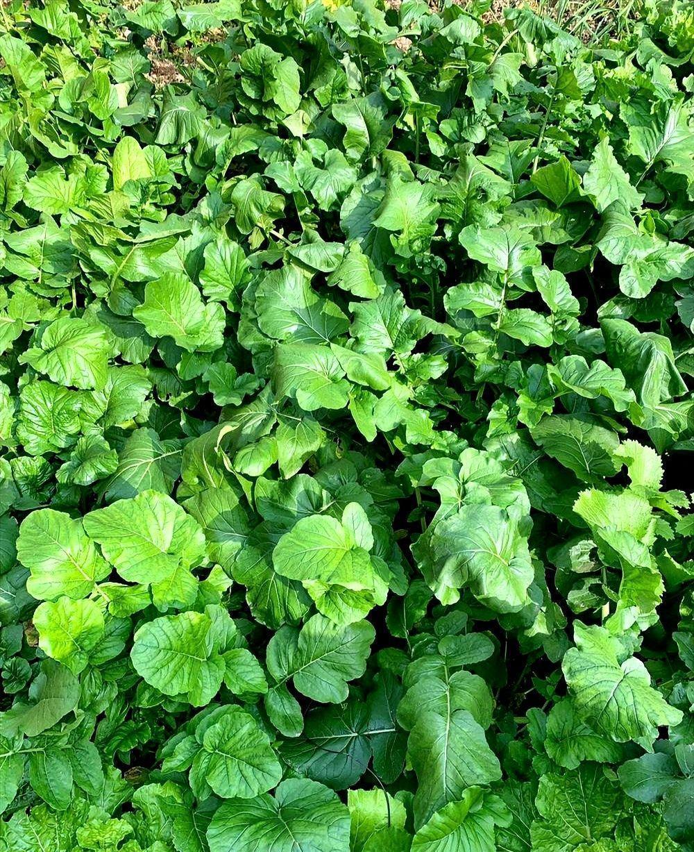 好不容易熬到中级，爬到八级，以为前面是平坦大路了。结果人家告诉你：恭喜，你终于拿