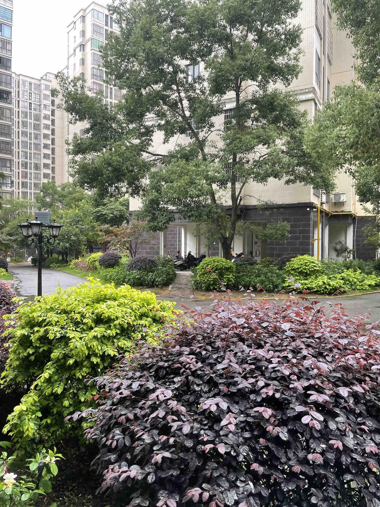 你没看错，刚出月子就要离婚了，孩子的满月酒也不可能办了。而摧毁这一切的凶手，正是